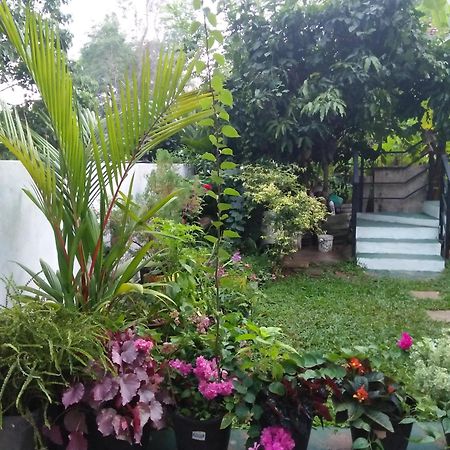 Jungle View One Bedroom Private Apartment Unawatuna Luaran gambar